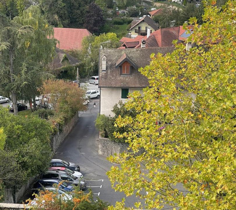Photo of Others in La Roche-sur-Foron