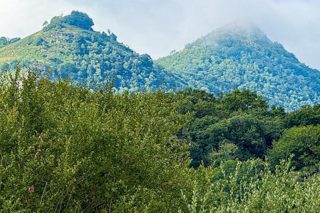 Photo of Others in Lourdes