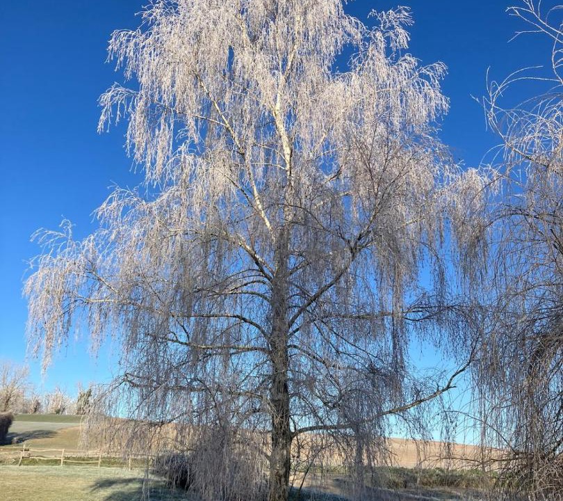 Photo of Others in Cromac