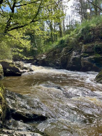 Photo of Others in Cromac