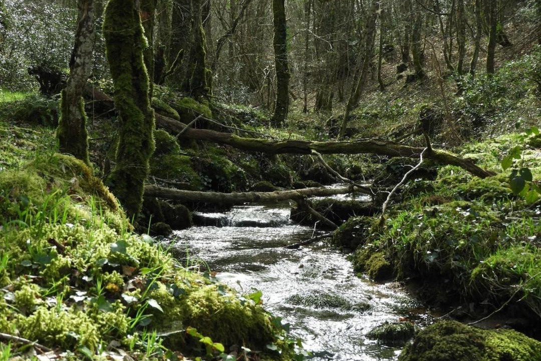 Photo of Others in Cromac