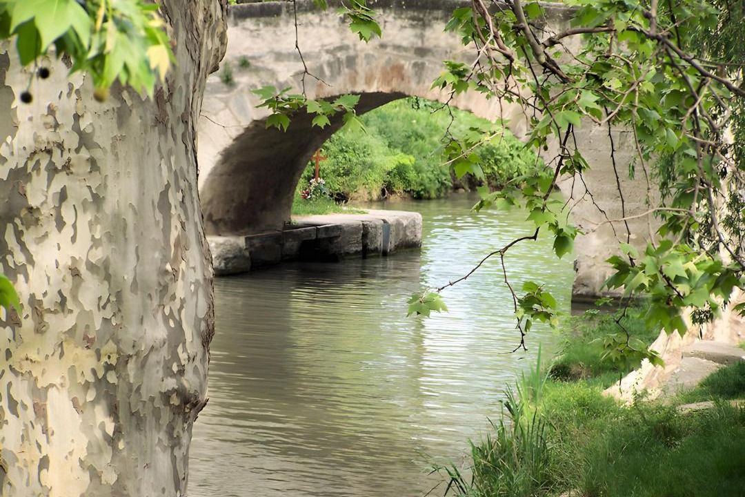 Photo of Others in Colombiers