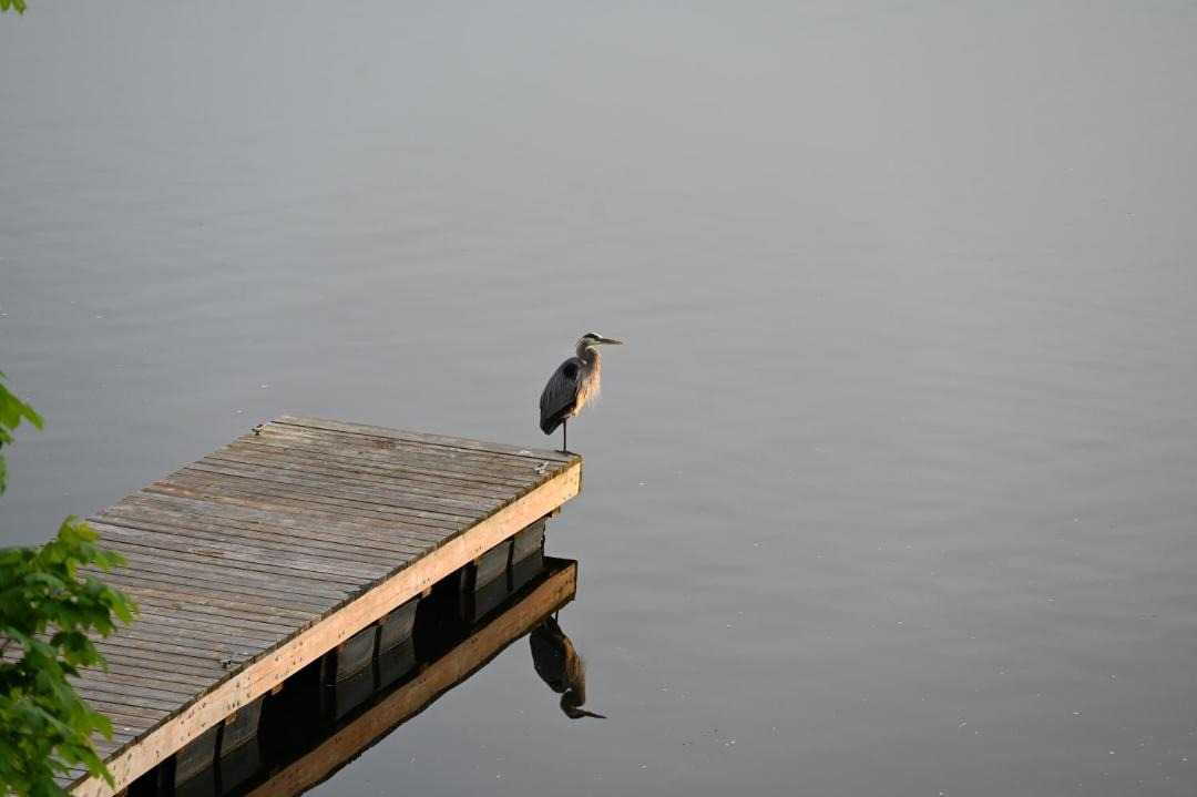 Photo of Others in Gananoque