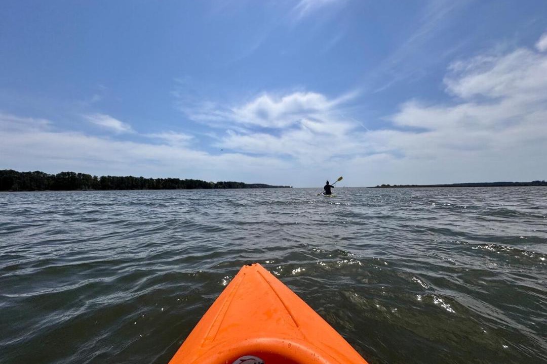 Photo of Human In Picture in North