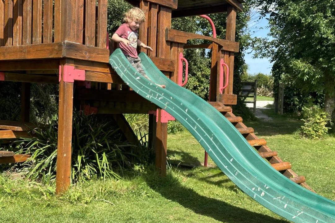 Photo of Others in Bude