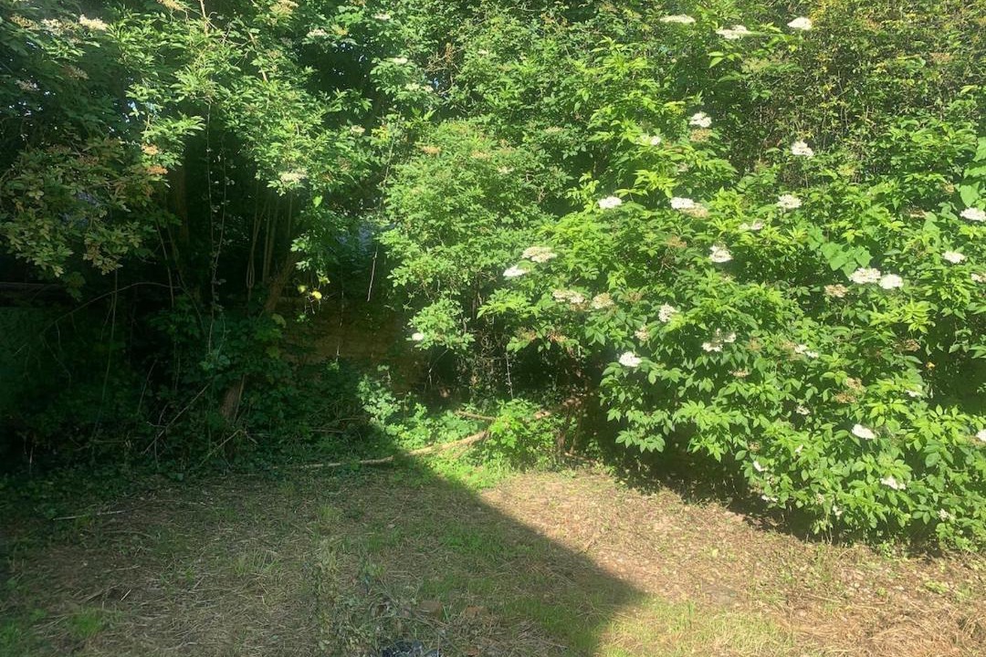 Photo of Others in Chasseneuil-du-Poitou