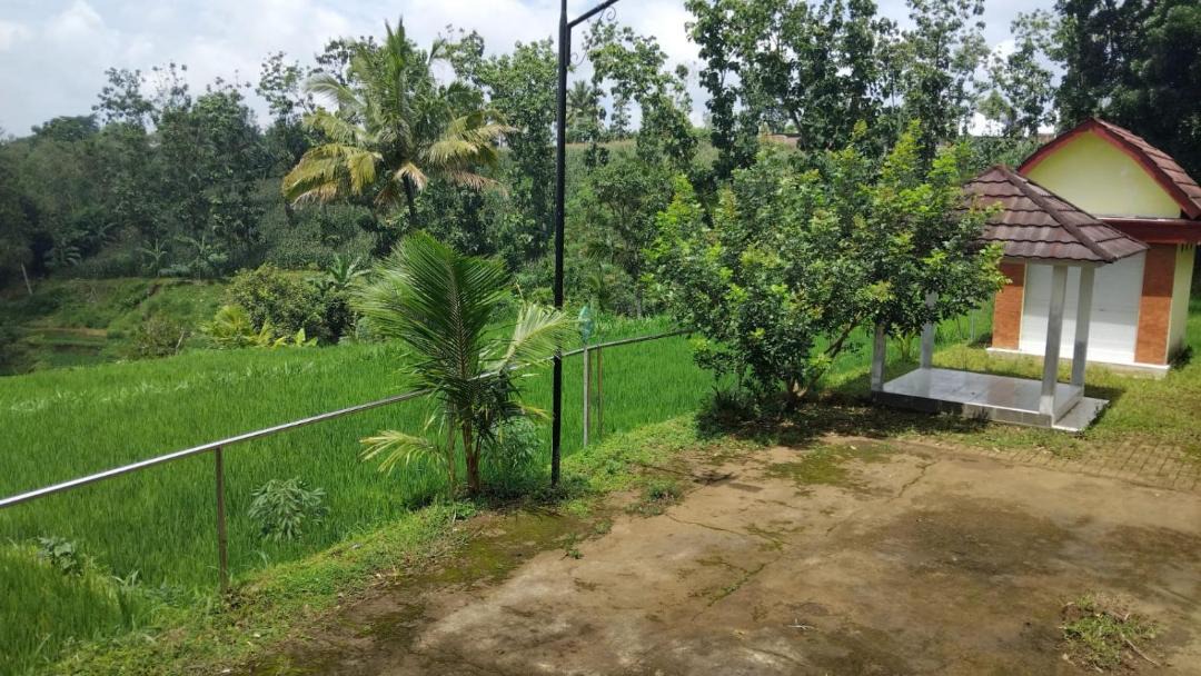 Photo of Others in Kecamatan Montong Gading