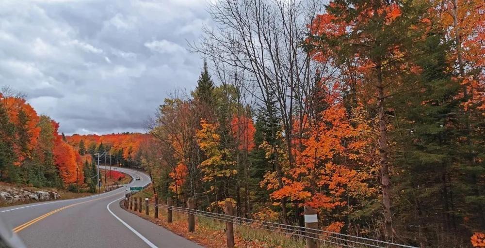 Photo of Others in Algonquin Highlands