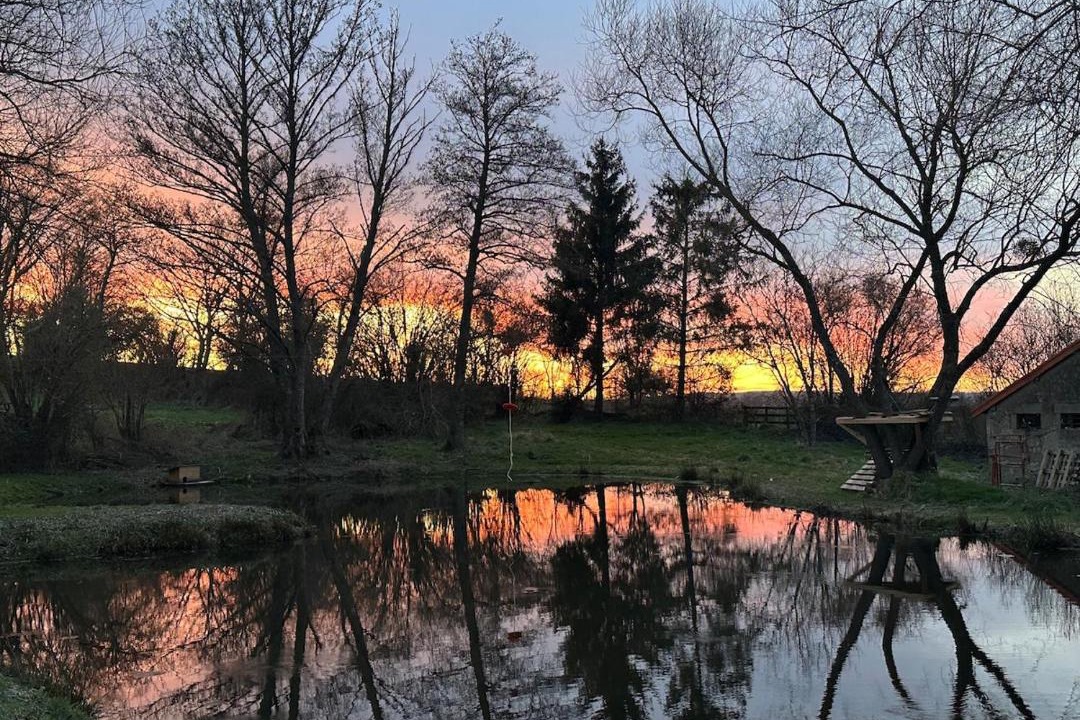 Photo of Others in Saint-Leger-du-Bois