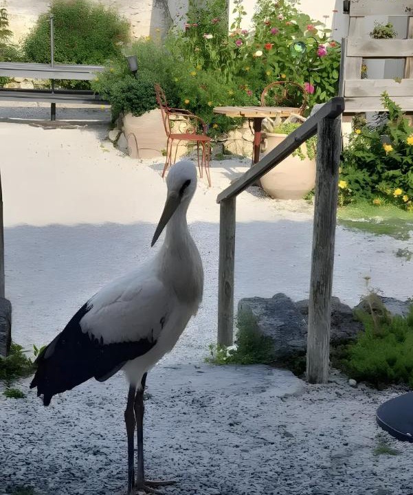 Photo of Others in Heirs-Brouage