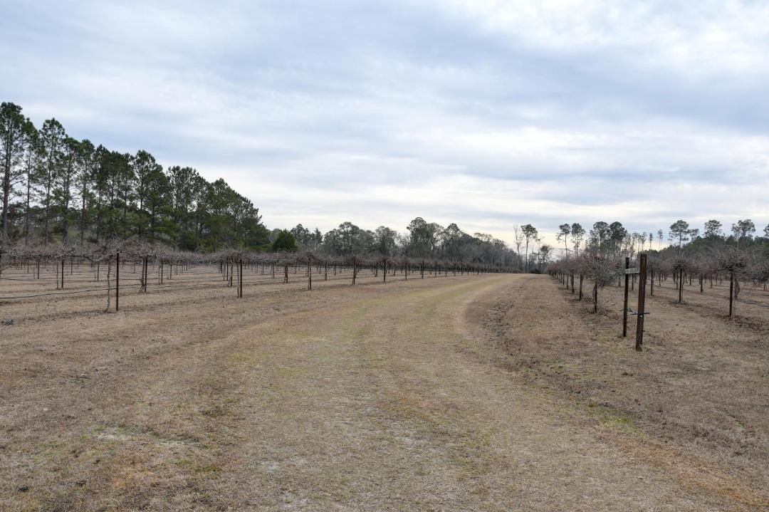 Photo of Others in Nashville