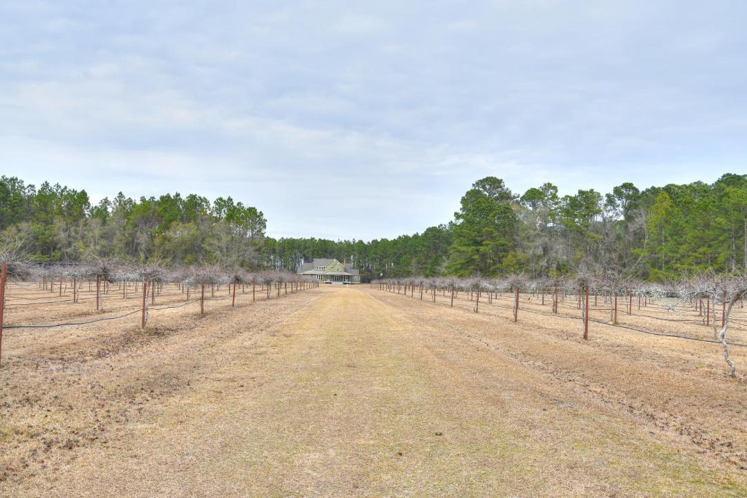 Photo of Others in Nashville