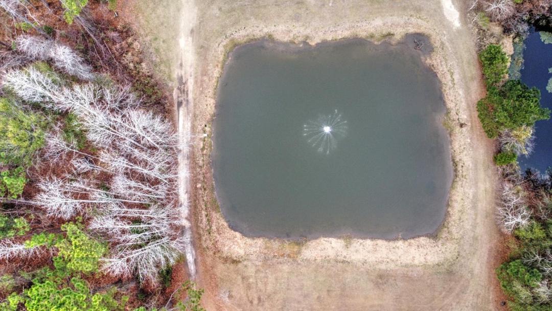 Photo of Others in Nashville