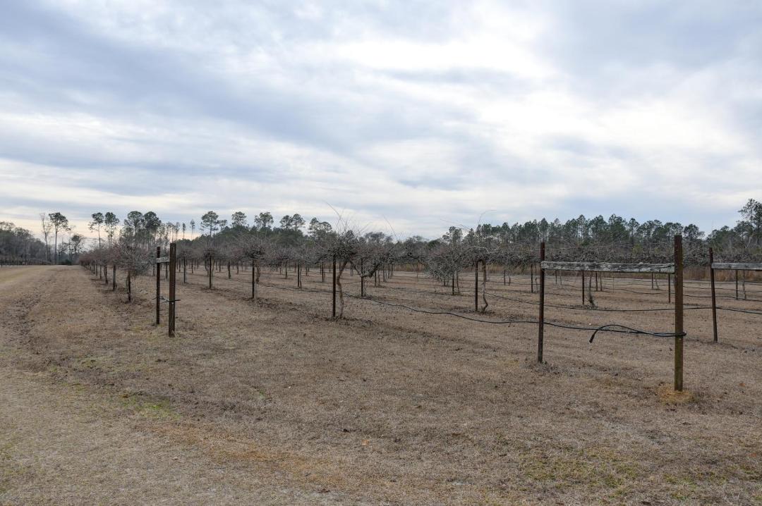 Photo of Others in Nashville