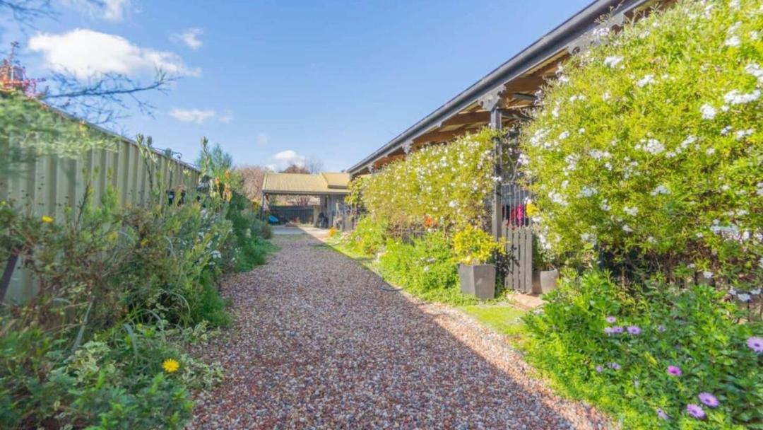 Photo of Others in White Hills