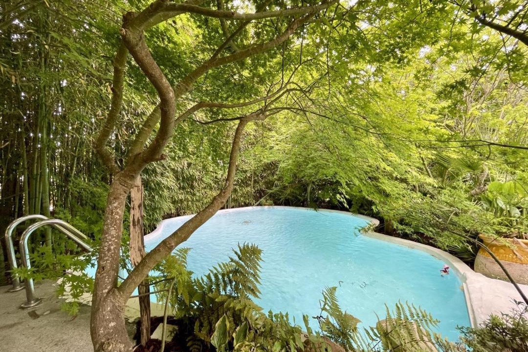 Photo of Others in Ustaritz