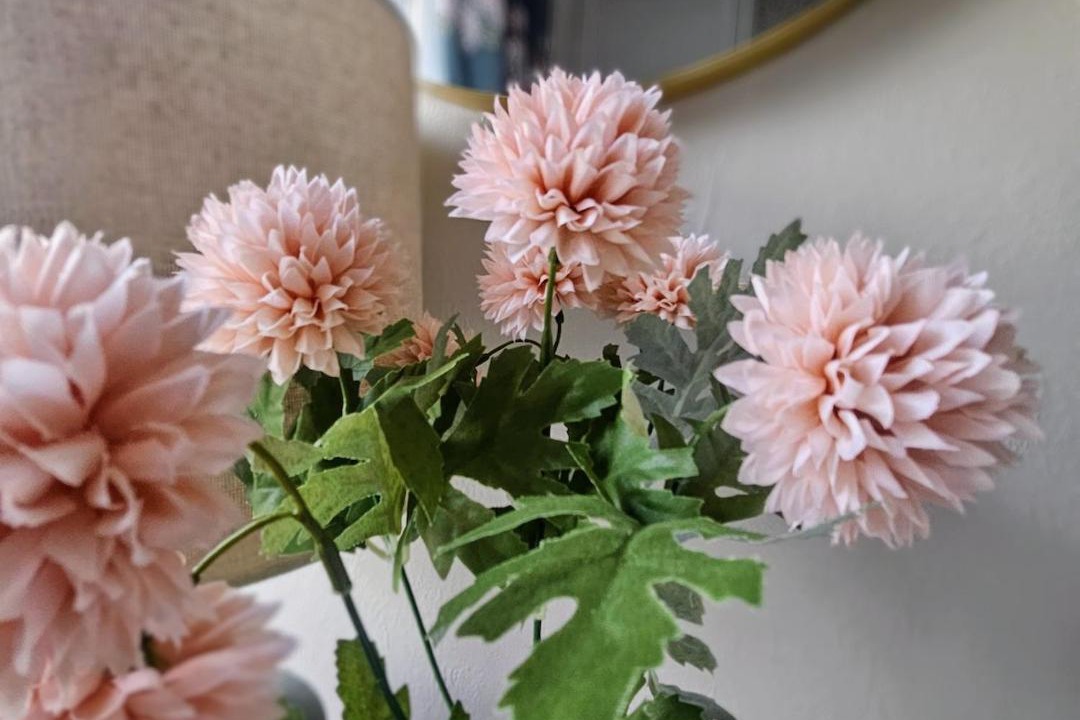 Photo of Others in Saltaire Village