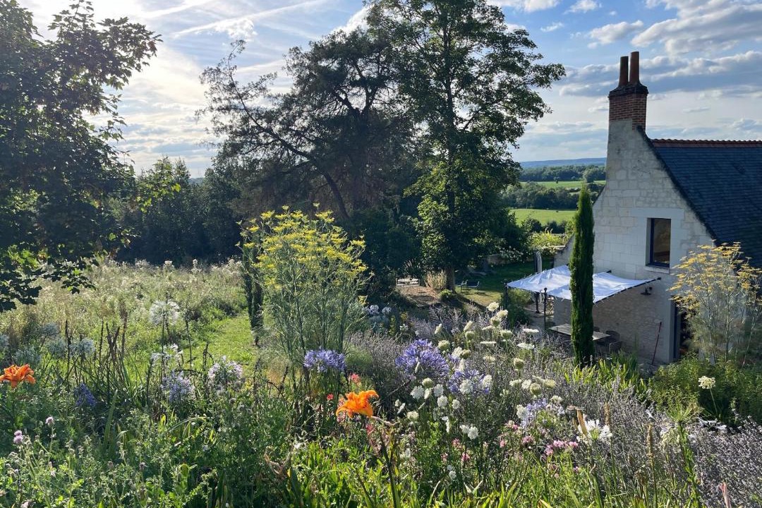 Photo of Others in Huismes