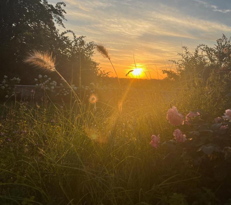 Photo of Others in Huismes