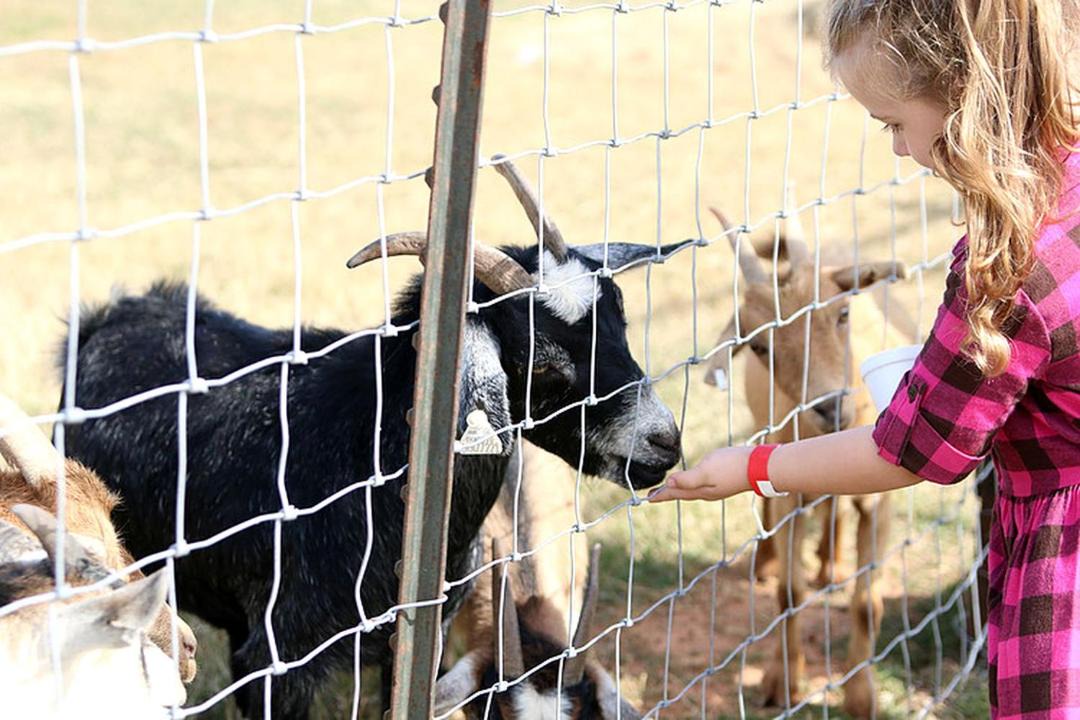 Photo of Others in South Oklahoma City