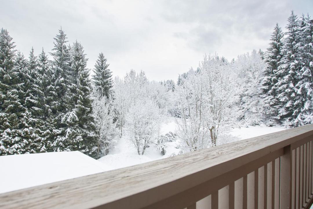 Photo of Patio Balcony in Meaudre