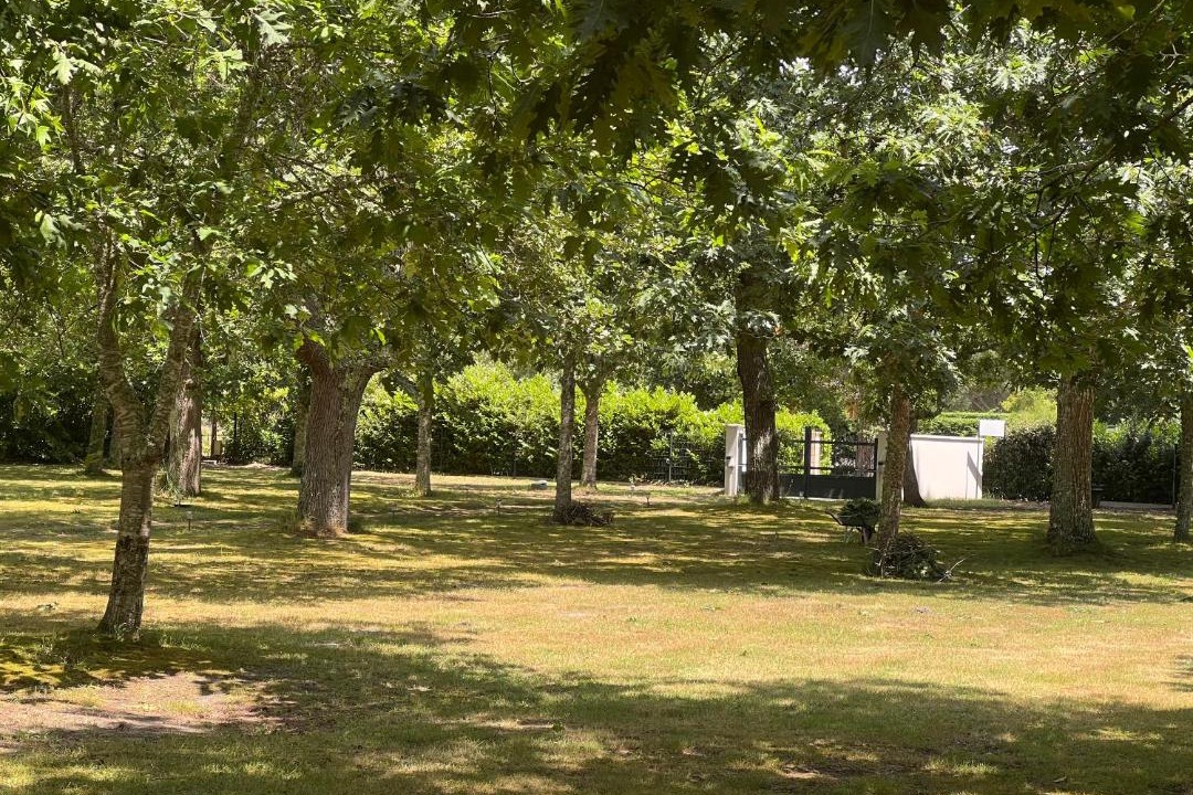 Photo of Others in Mimizan