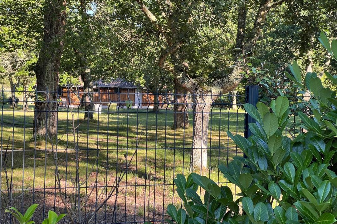 Photo of Others in Mimizan