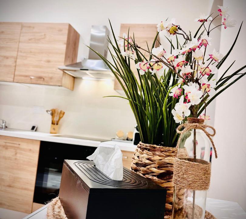 Photo of Others in Auch