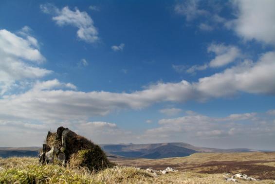 Photo of Others in Tredegar