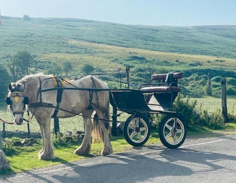 Photo of Others in Tredegar