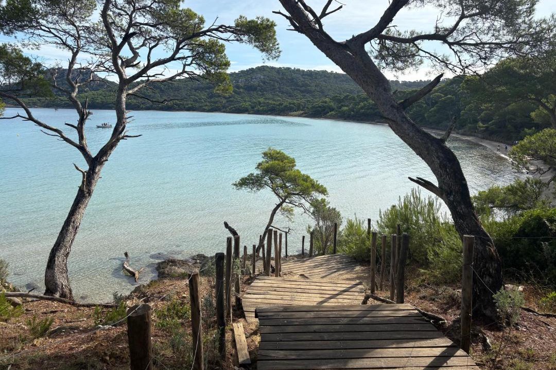 Photo of Others in Preconil