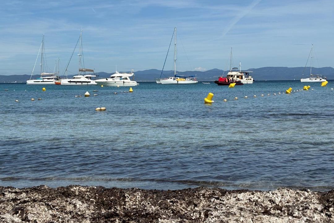 Photo of Others in Preconil