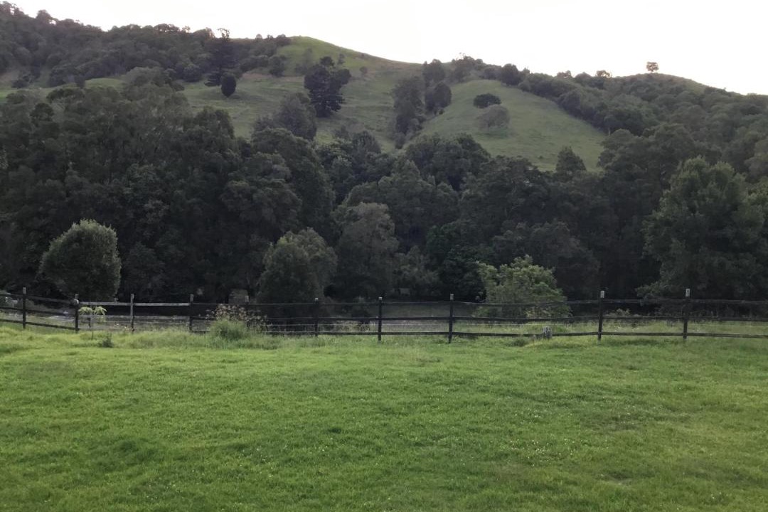 Photo of Others in Flying Fox