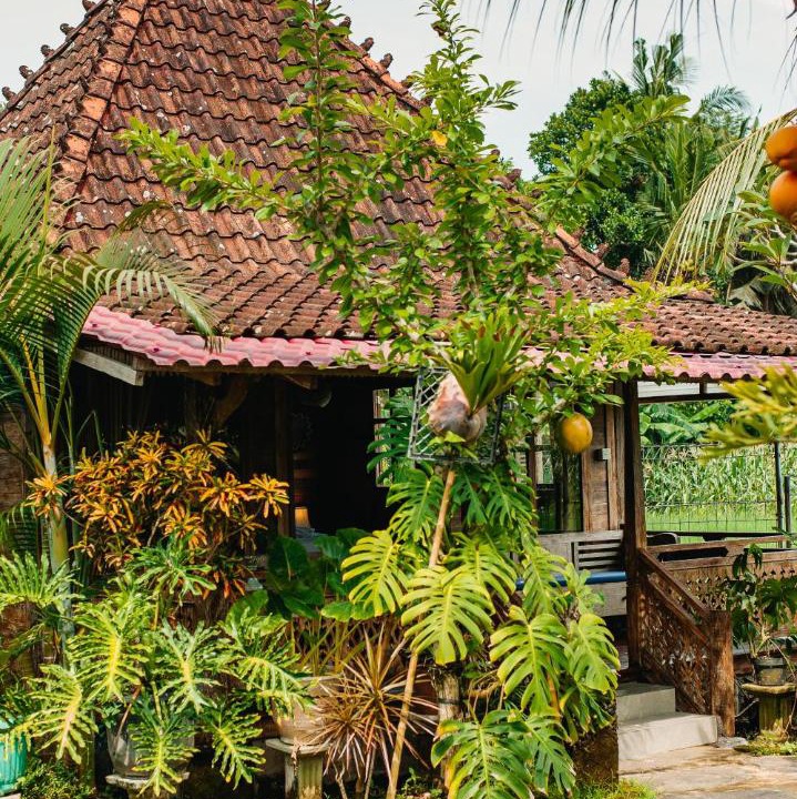 Photo of Others in Sukawati