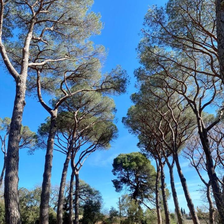 Photo of Others in Pezenas