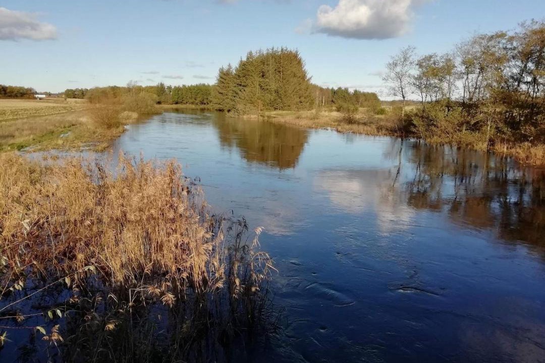 Photo of Others in Skjern