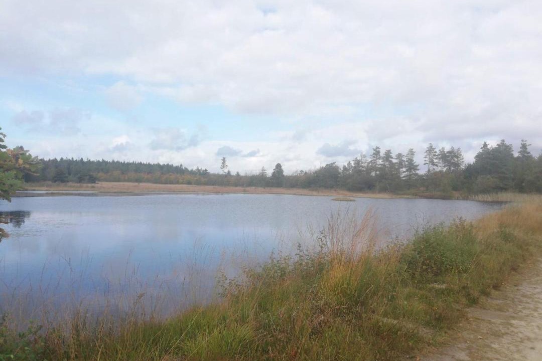 Photo of Others in Skjern