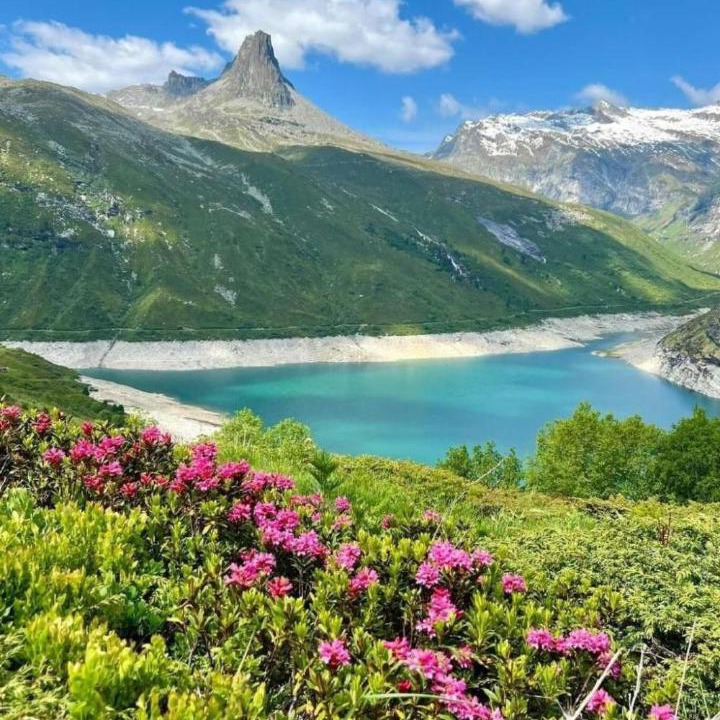Photo of Others in Vals