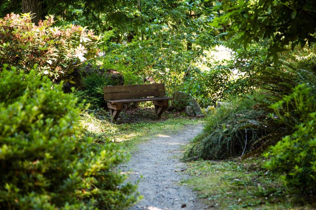 Photo of Others in Fall City