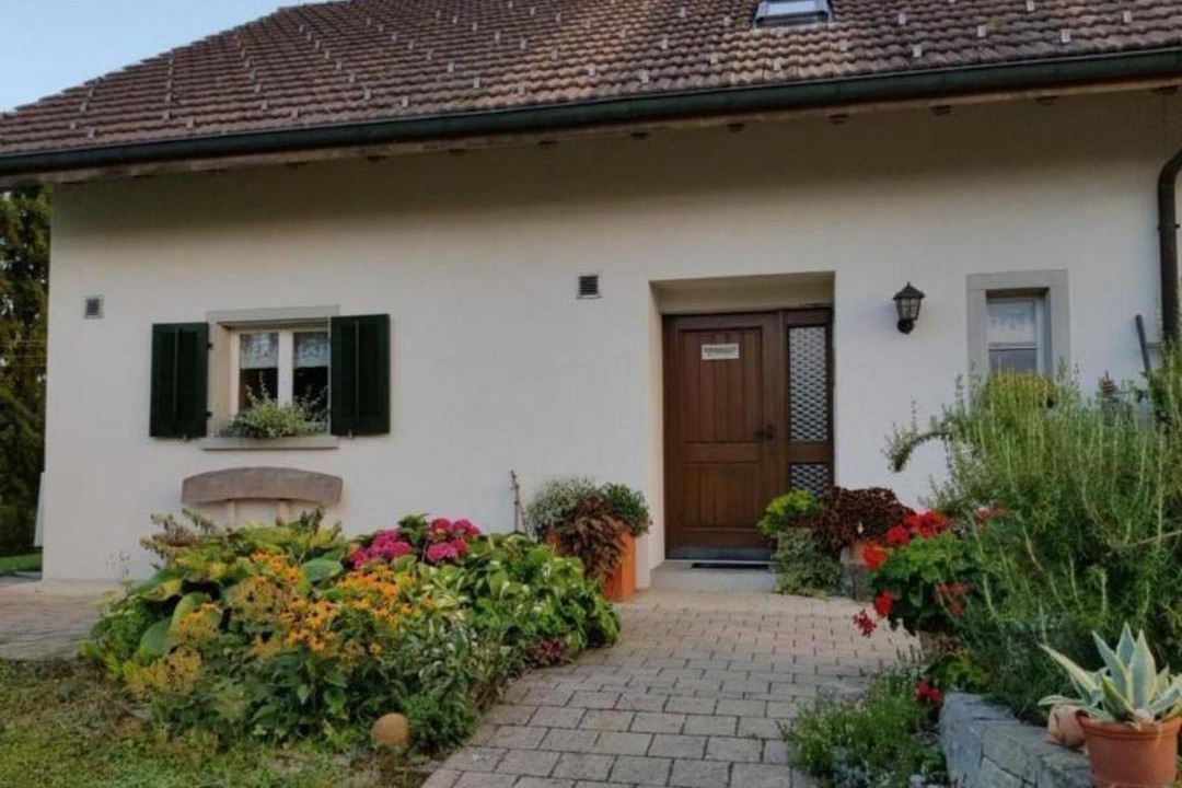 Photo of Others in Andelfingen District