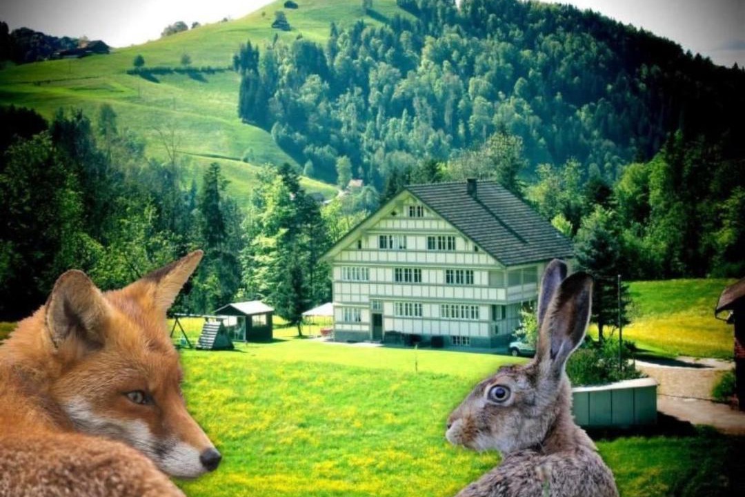 Photo of Others in Sankt Peterzell