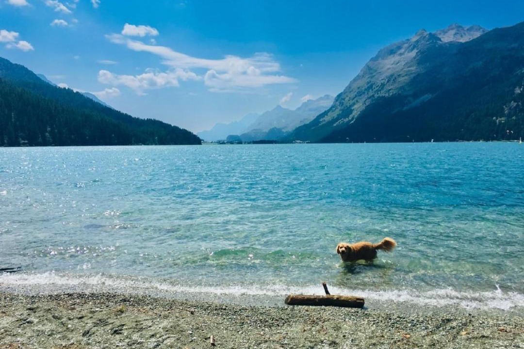 Photo of Others in Sils-Maria