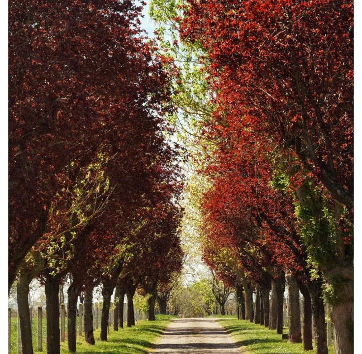 Photo of Others in Montceaux-l'Etoile