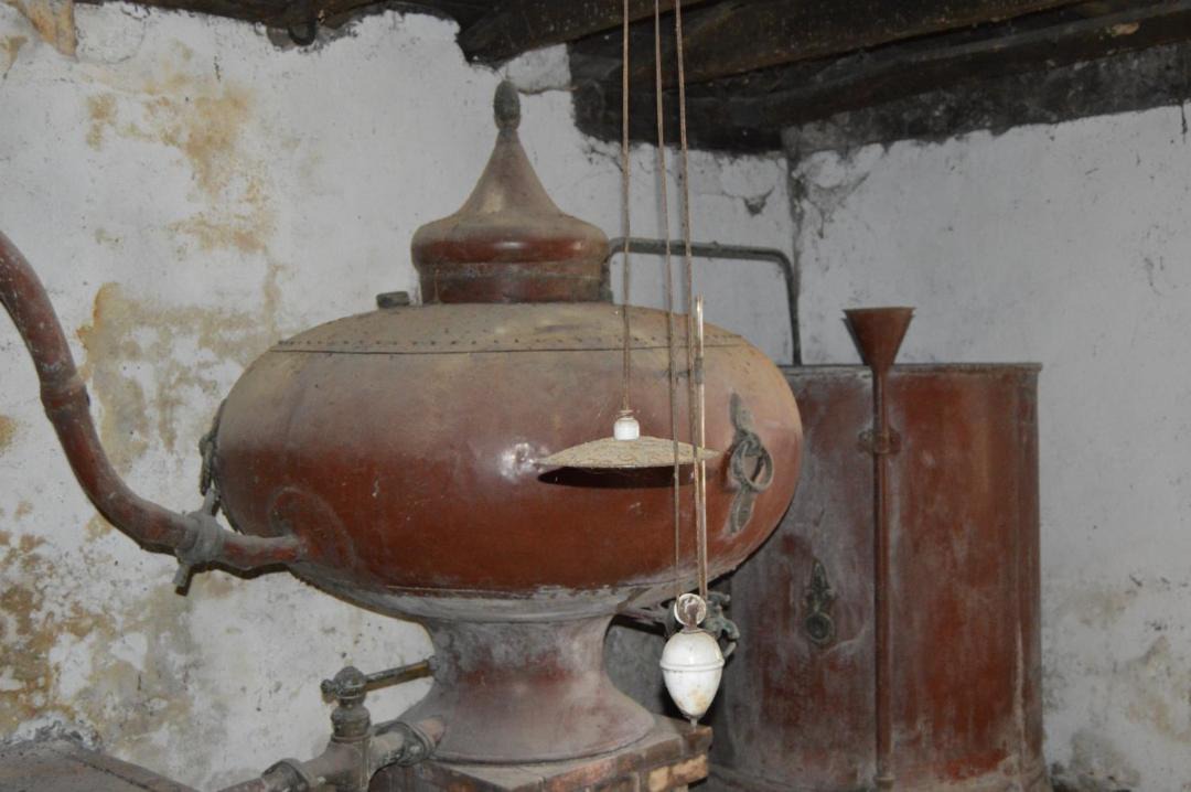 Photo of Others in Le Tatre