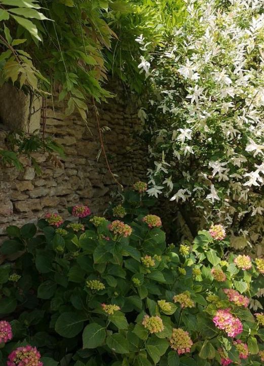 Photo of Others in Mouterre-Silly