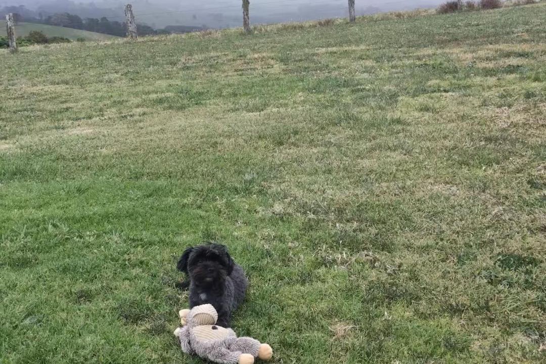 Photo of Others in Fernbrook