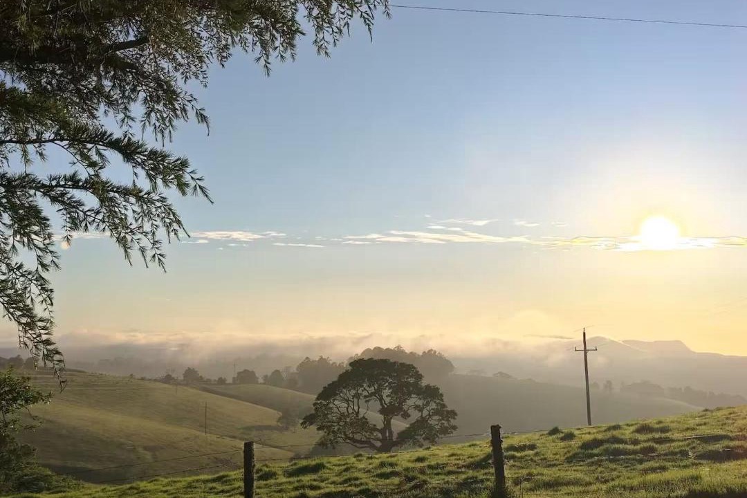 Photo of Others in Fernbrook