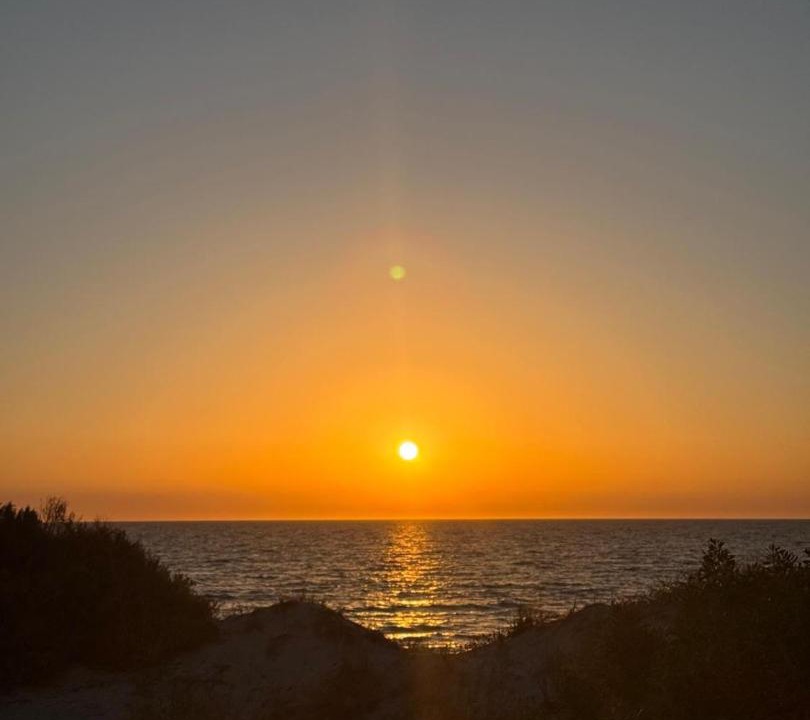 Photo of Others in Semaphore Park