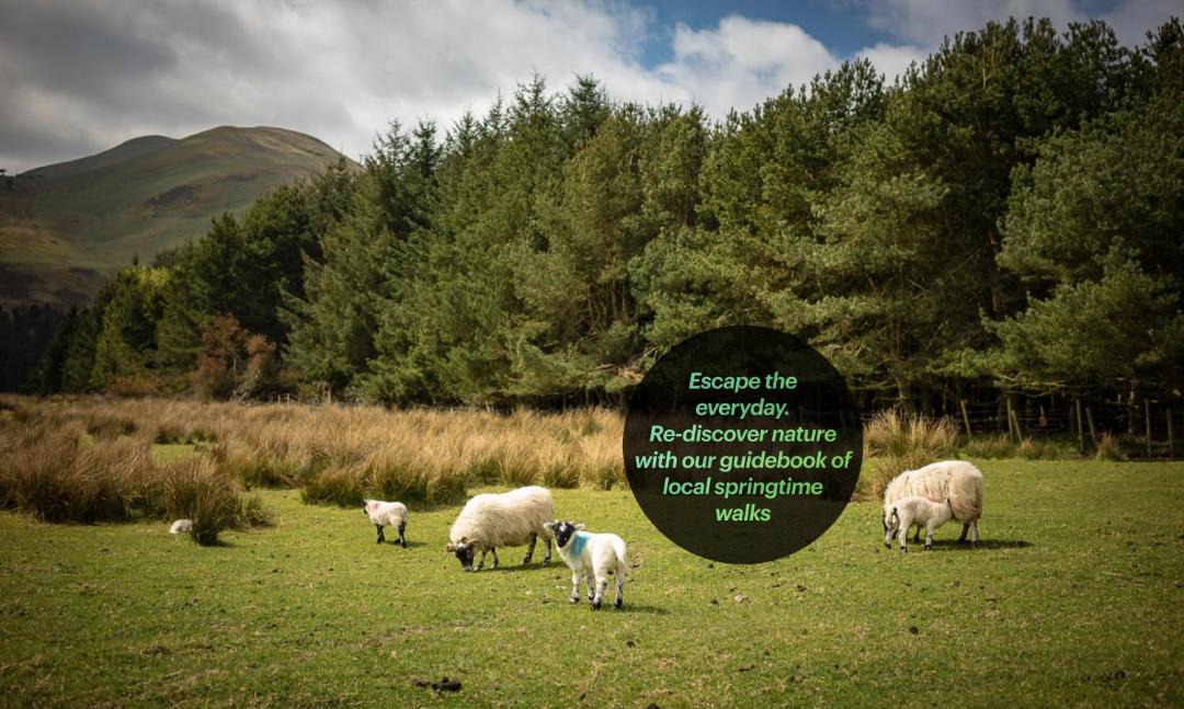 Photo of Others in Blackburn