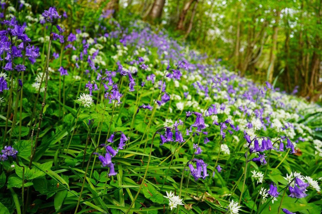 Photo of Others in Blackburn